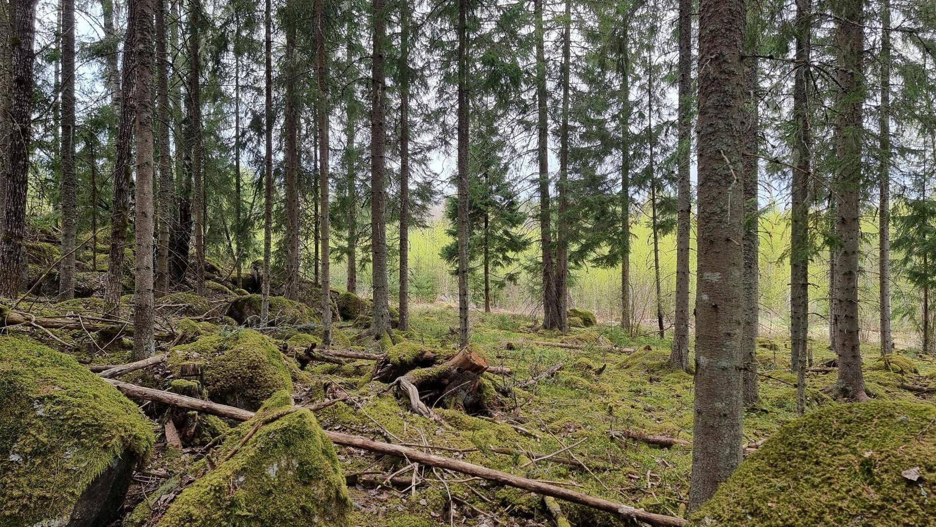 154 m² Gård med jordbruk på Onslunda 43 Tensta Uppsala kommun - bild 57