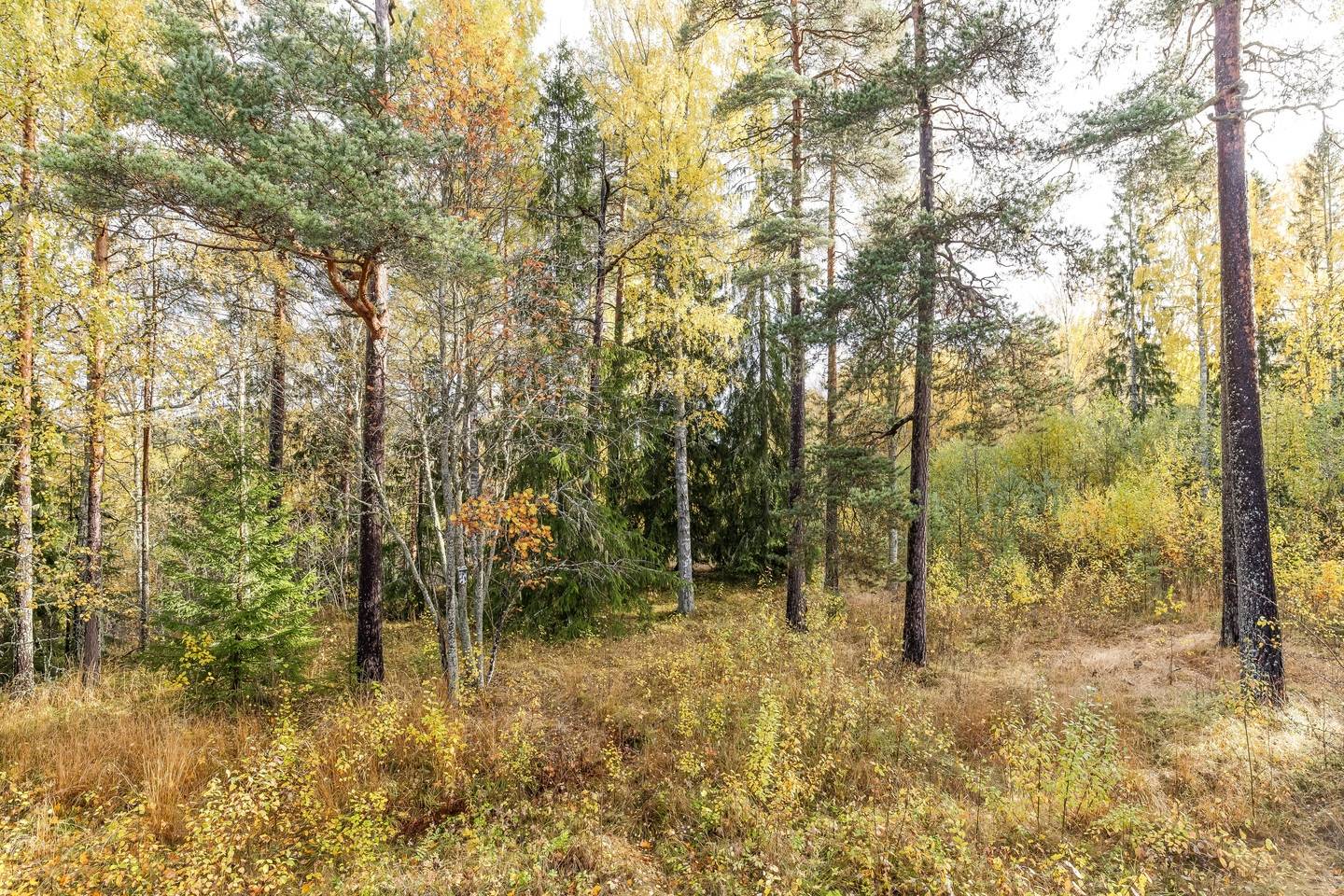 6 rum Villa på Malmbacksvägen 1 Klenshyttan Ludvika kommun - bild 9