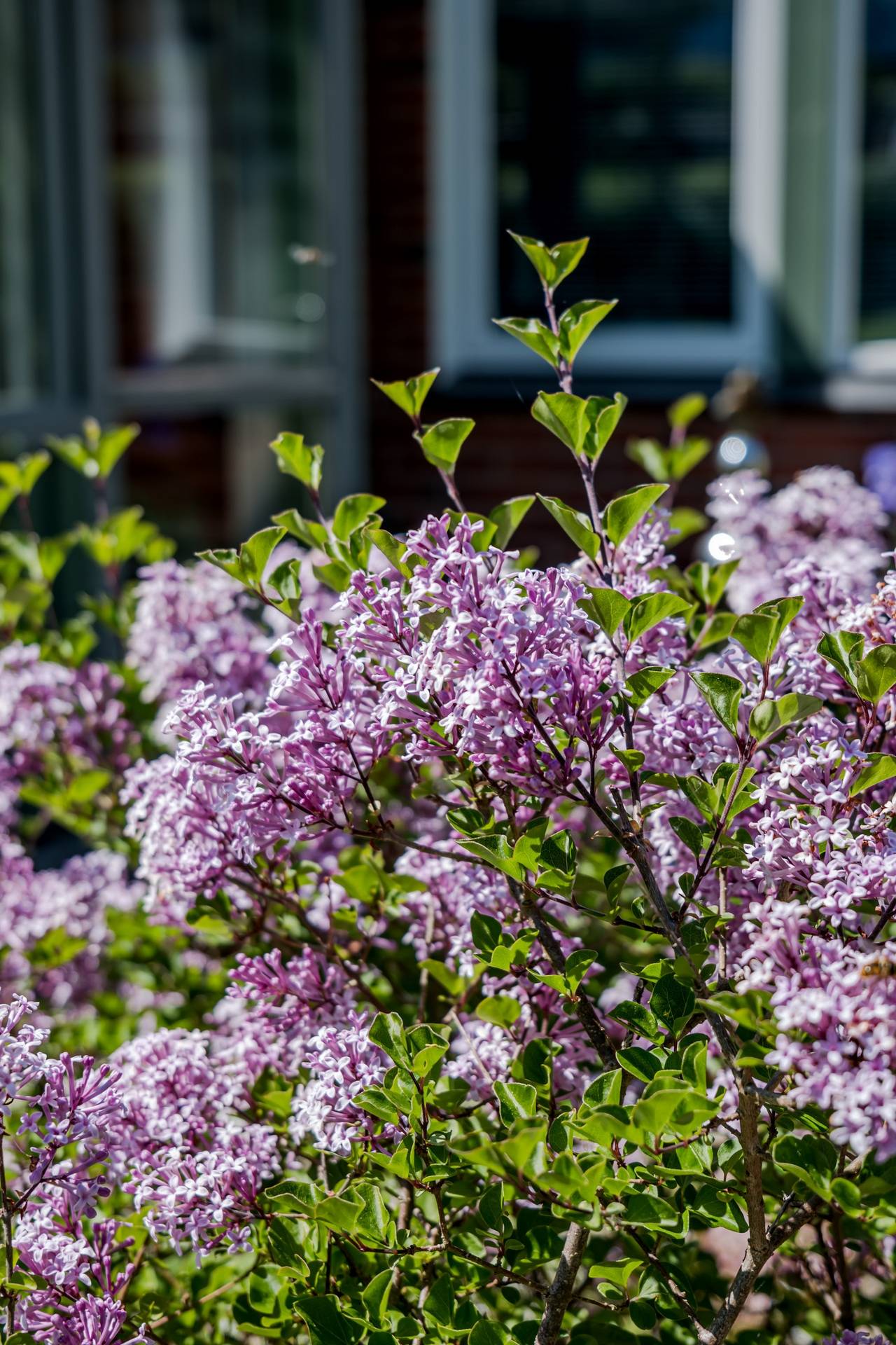 6 rum Villa på Falkvägen 13 Vargön Vänersborgs kommun - bild 49