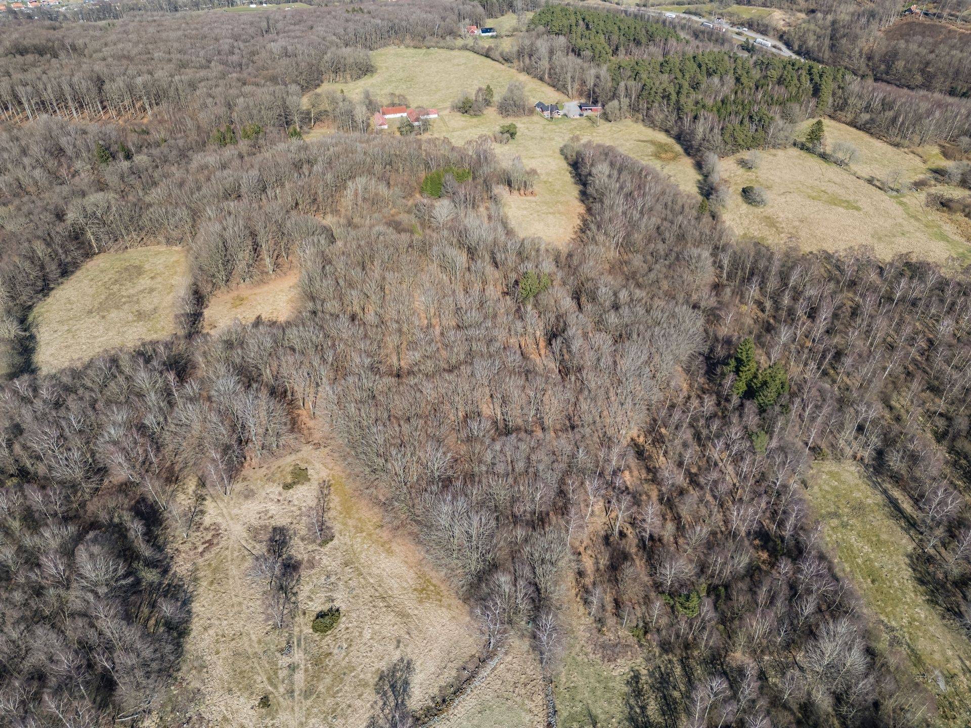 4 rum Gård/skog på Gamla riksvägen 10 Hallandsåsen Båstads kommun - bild 33
