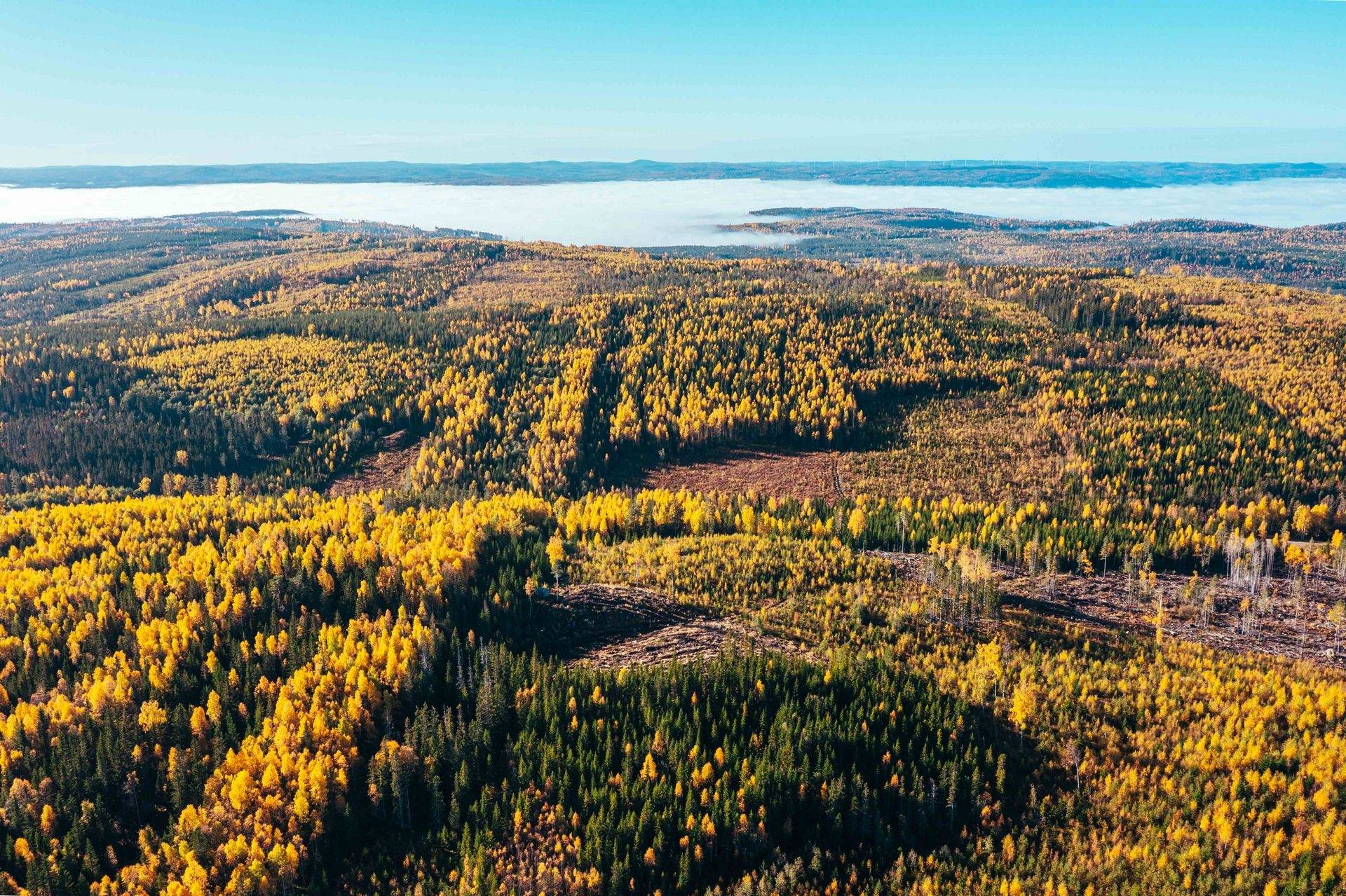 Gård med skogsbruk på ÅNGE BACKEN 4:20 Ånge kommun - bild 11