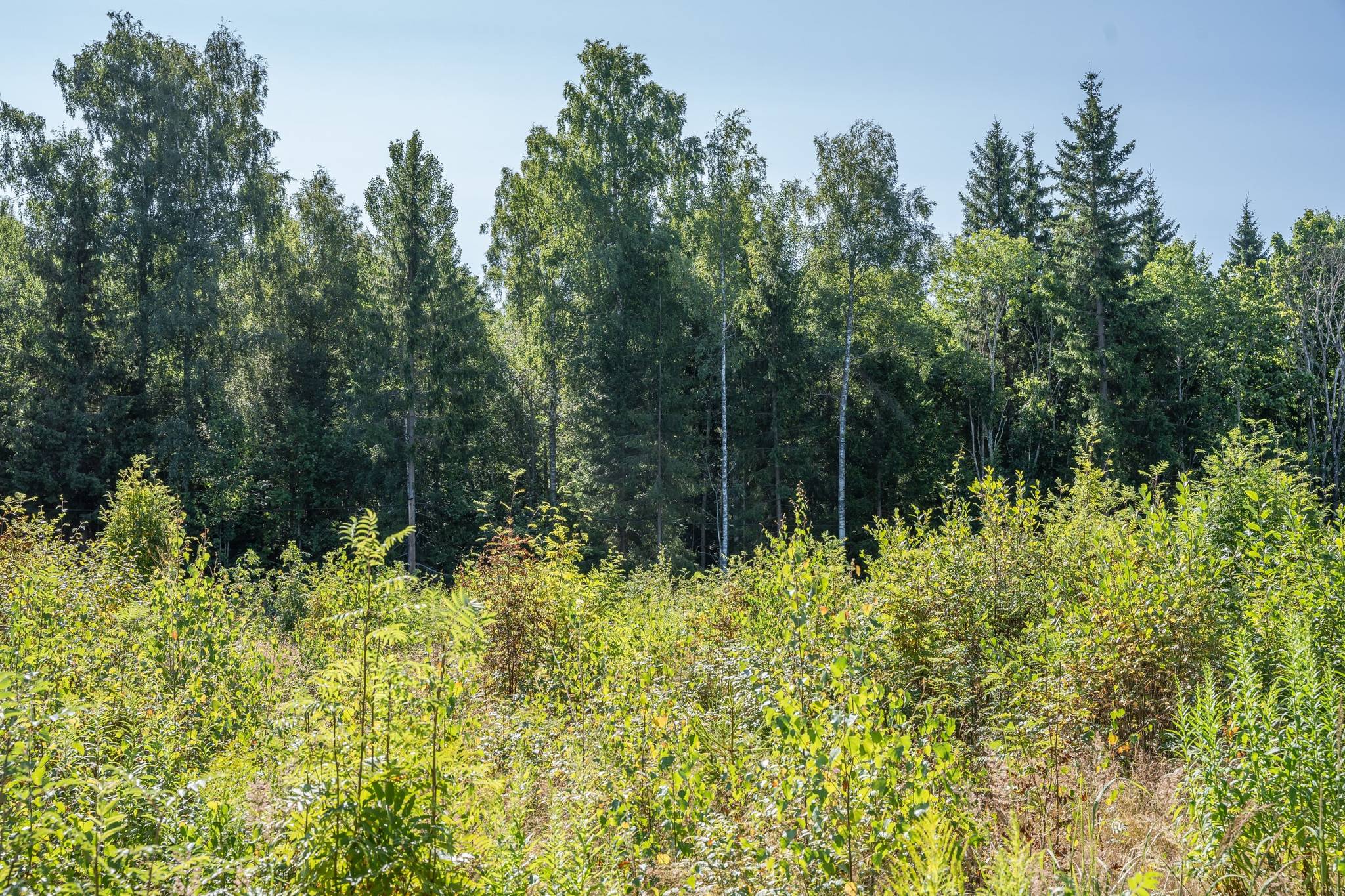 Tomt på Norum Karlstads kommun - bild 16