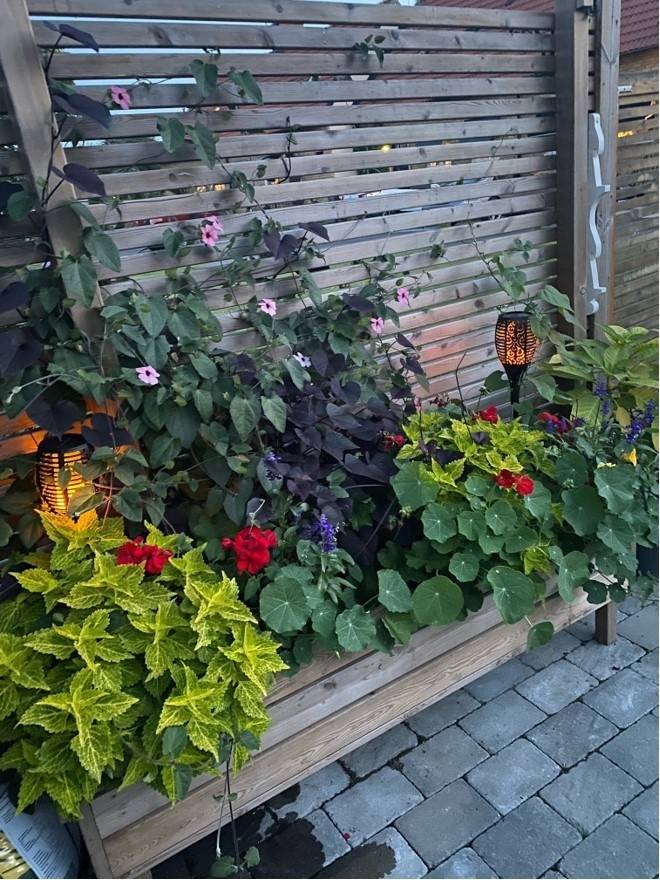 4 rum Radhus på Östergatan 6B Tidaholms kommun - bild 29