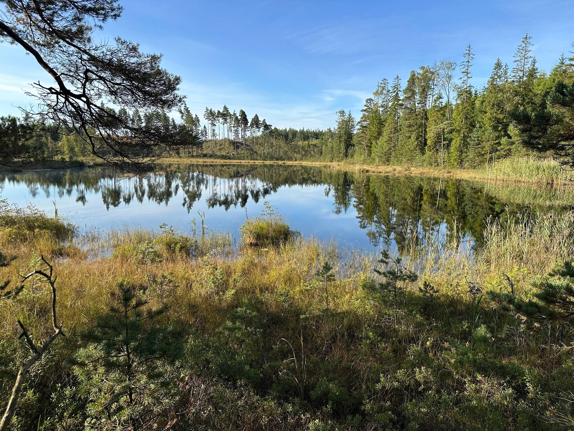 Gård med skogsbruk på MARK ANABÄCKSHULT 2:14 Anabäckshult Marks kommun - bild 9