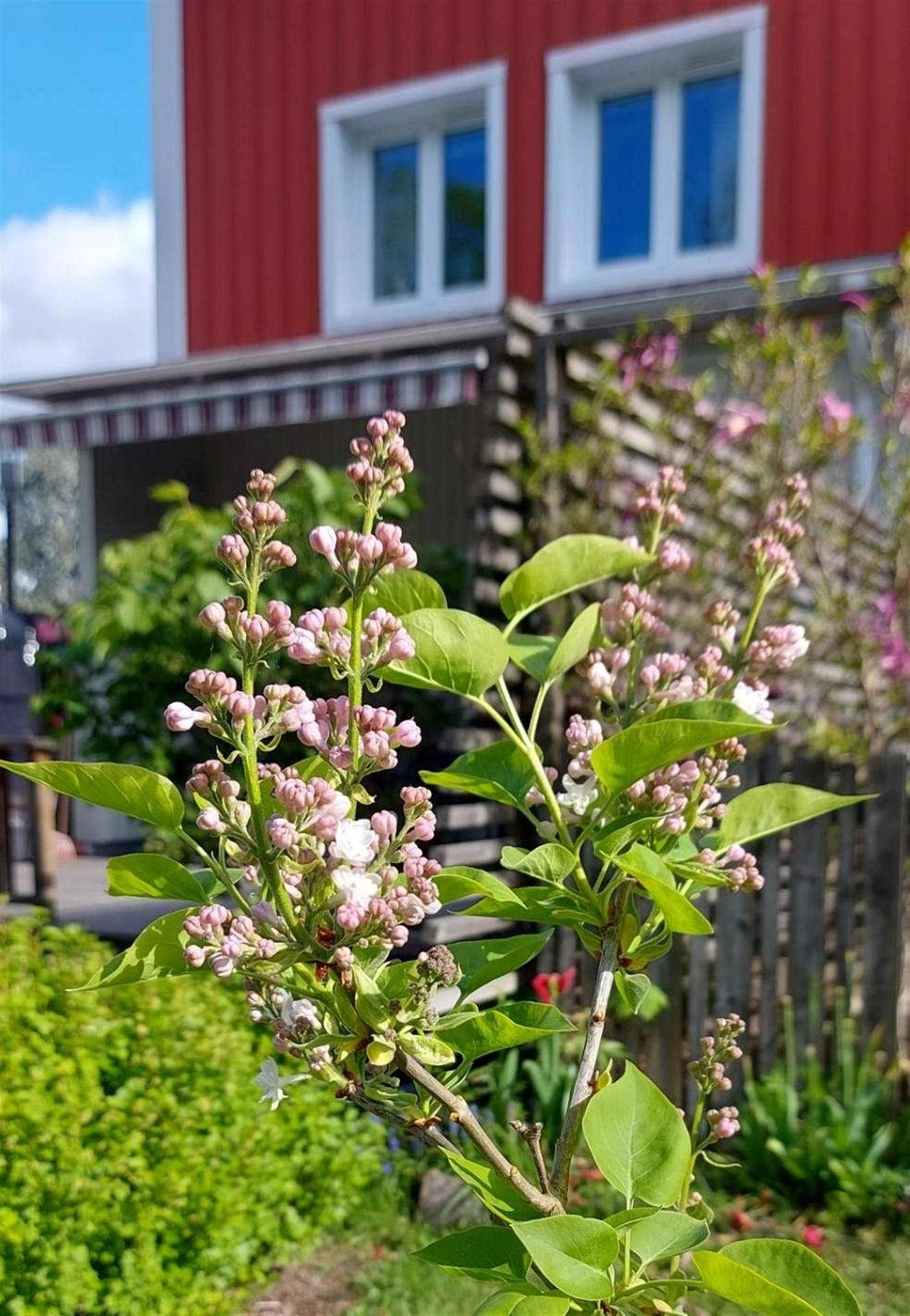 3 rum Radhus på Voltgatan 21 Enögla Enköpings kommun - bild 28