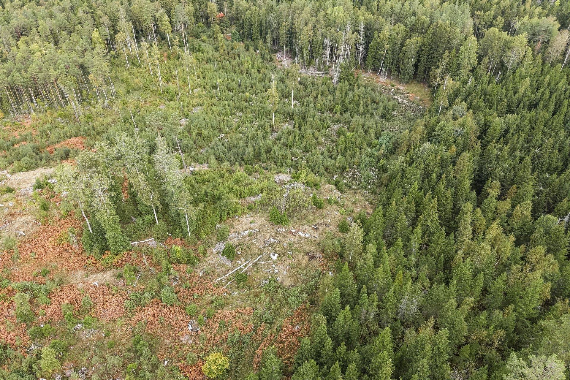 Gård med skogsbruk på Norrtälje Bro 4:8 & 8:1 Norrtälje kommun - bild 22