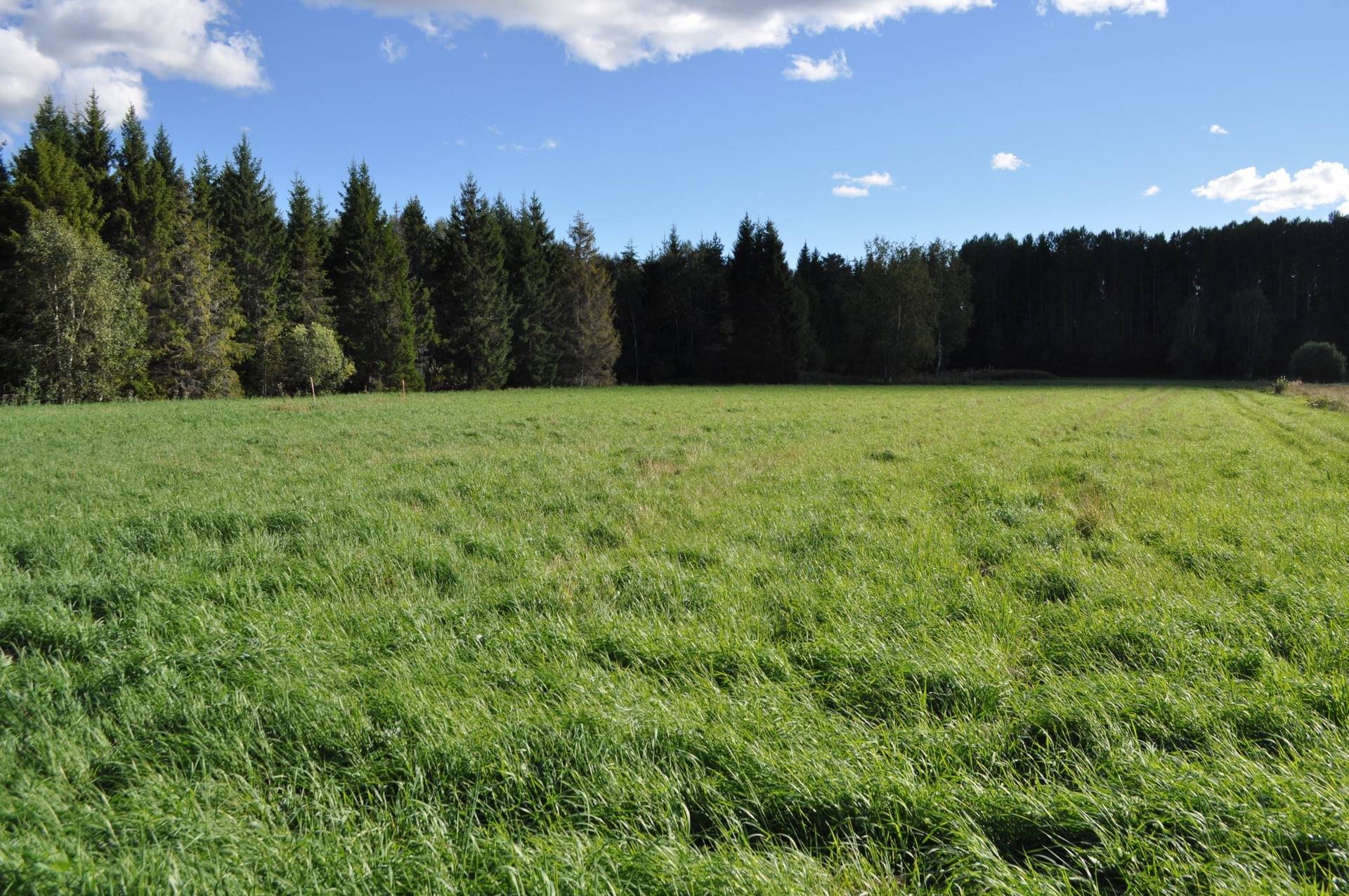 Gård med skogsbruk på Uppsala Götbrunna 4:1 Götbrunna Uppsala kommun - bild 9
