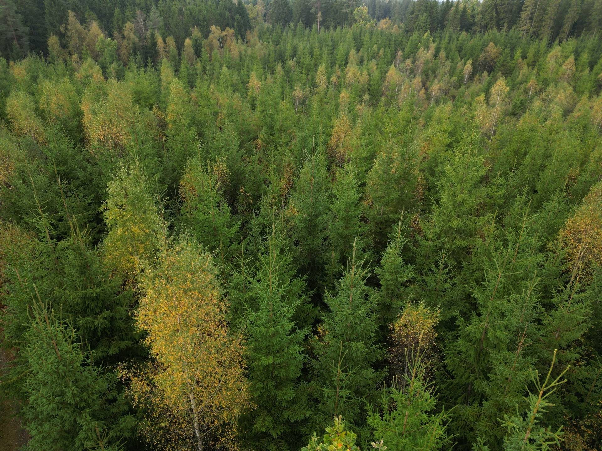 Gård med jordbruk på Yttrebo 107 Hylte kommun - bild 4