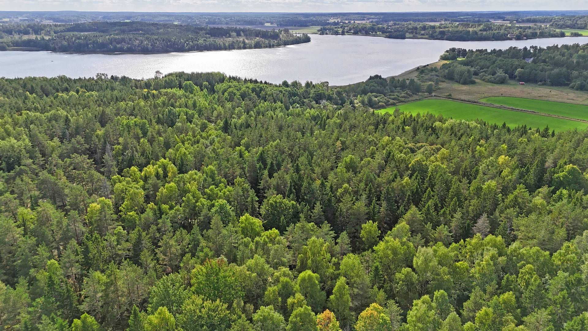 Gård/skog på Bärmö skogar Sigtuna kommun - bild 4