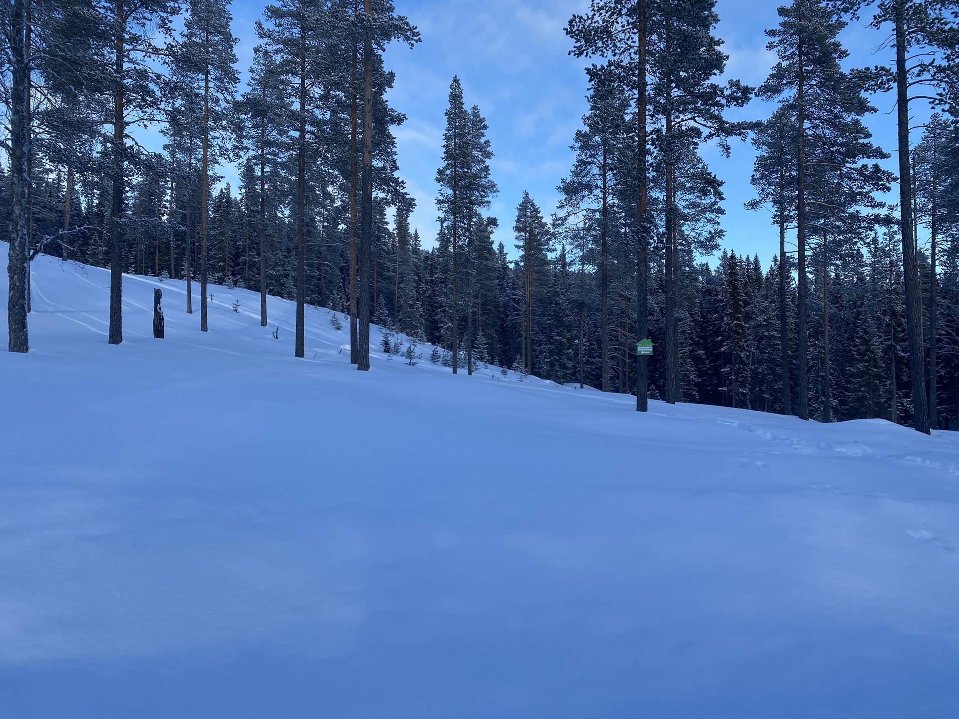 Tomt på Saturnusvägen 20 Idre Himmelfjäll Älvdalens kommun - bild 9