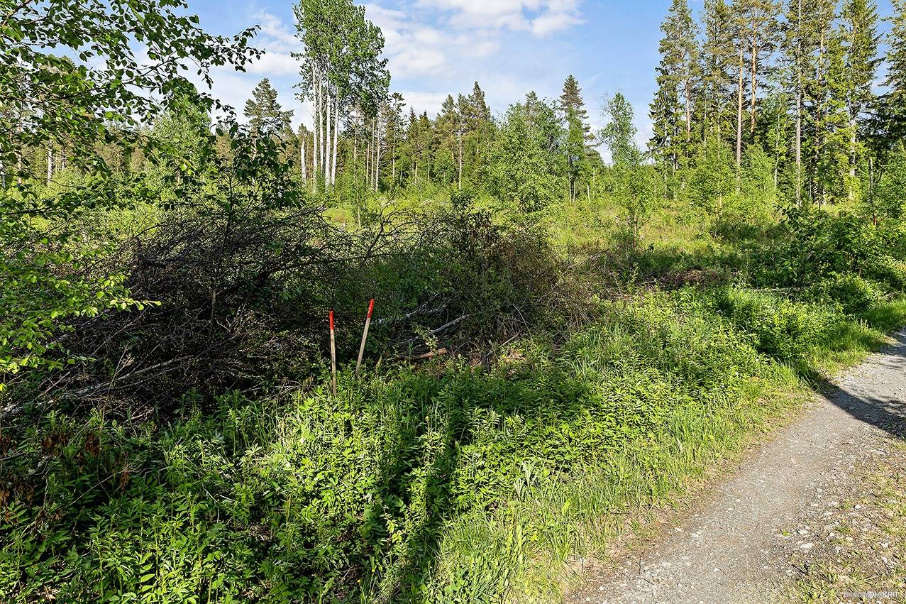tomt på Sunne-Gärde 2:52 Orrviken, Östersunds kommun - bild 2