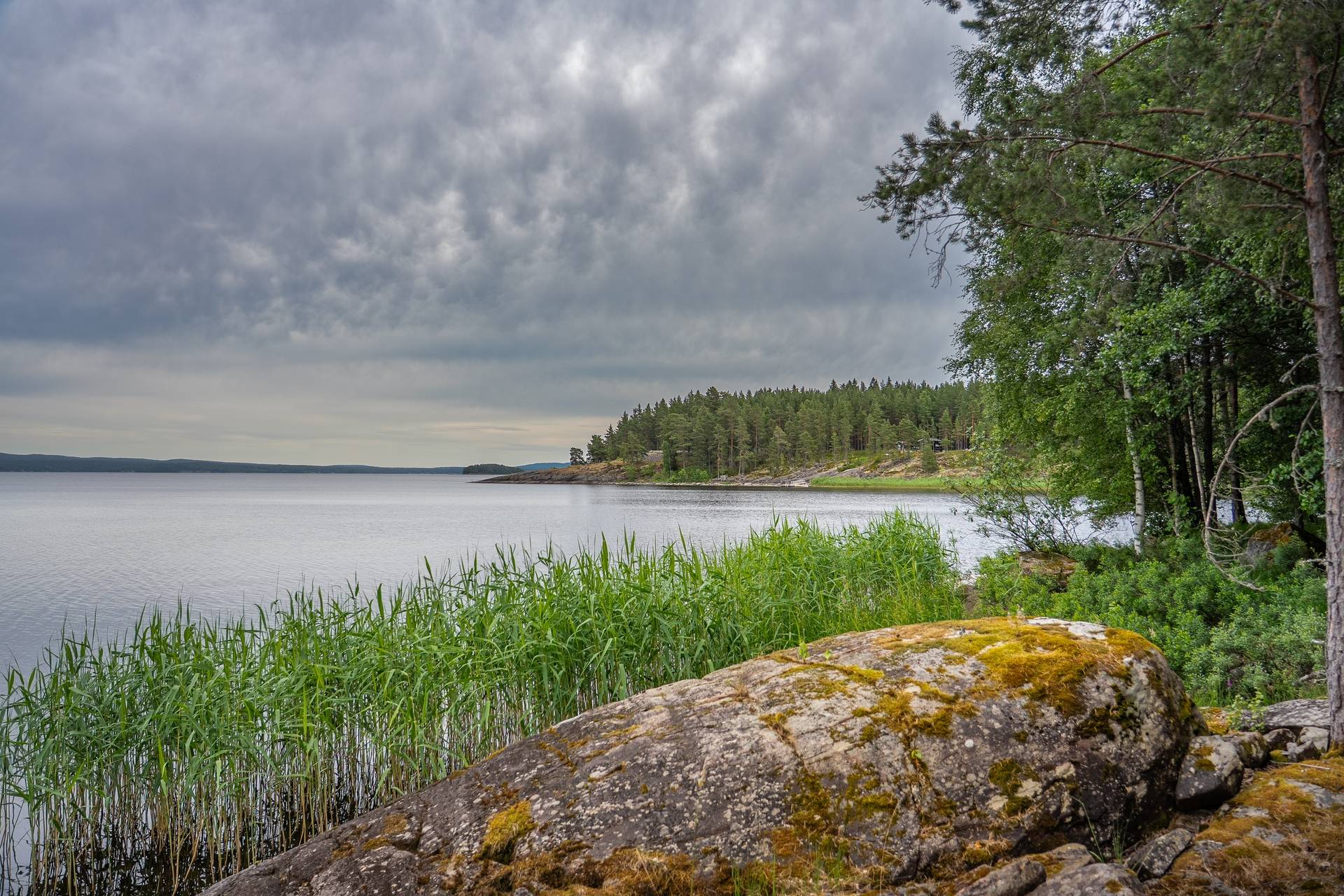 Gård med jordbruk på Glava Arvika kommun - bild 5