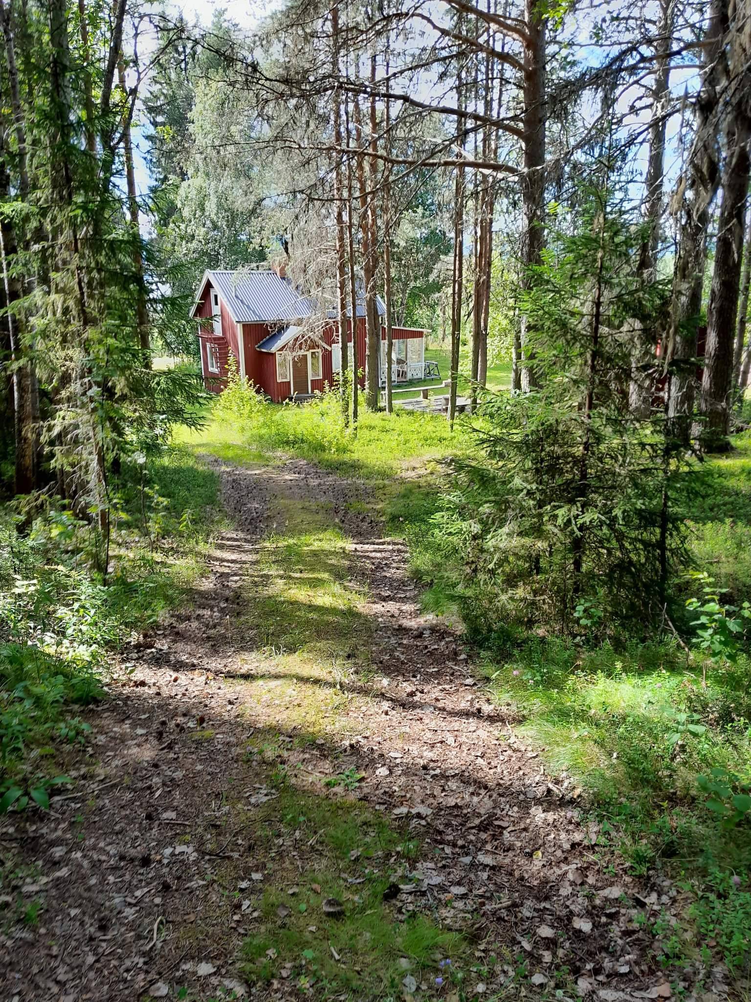 6 rum Gård/skog på Västra Ormsjö 216 Västra Ormsjö Dorotea kommun - bild 41