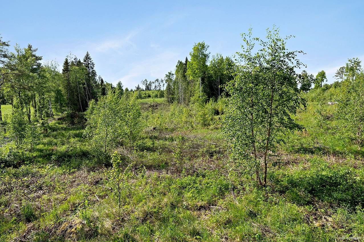 tomt på Sunne-Gärde 2:53 Orrviken, Östersunds kommun - bild 1