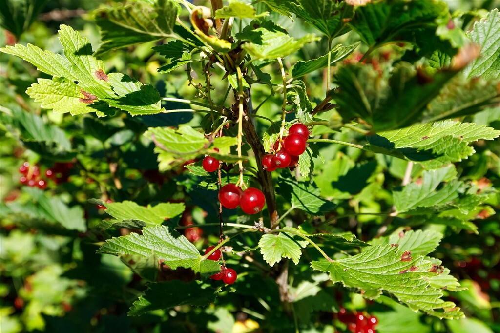 5 rum Villa på Hantverksvägen 12 Enånger Hudiksvalls kommun - bild 27