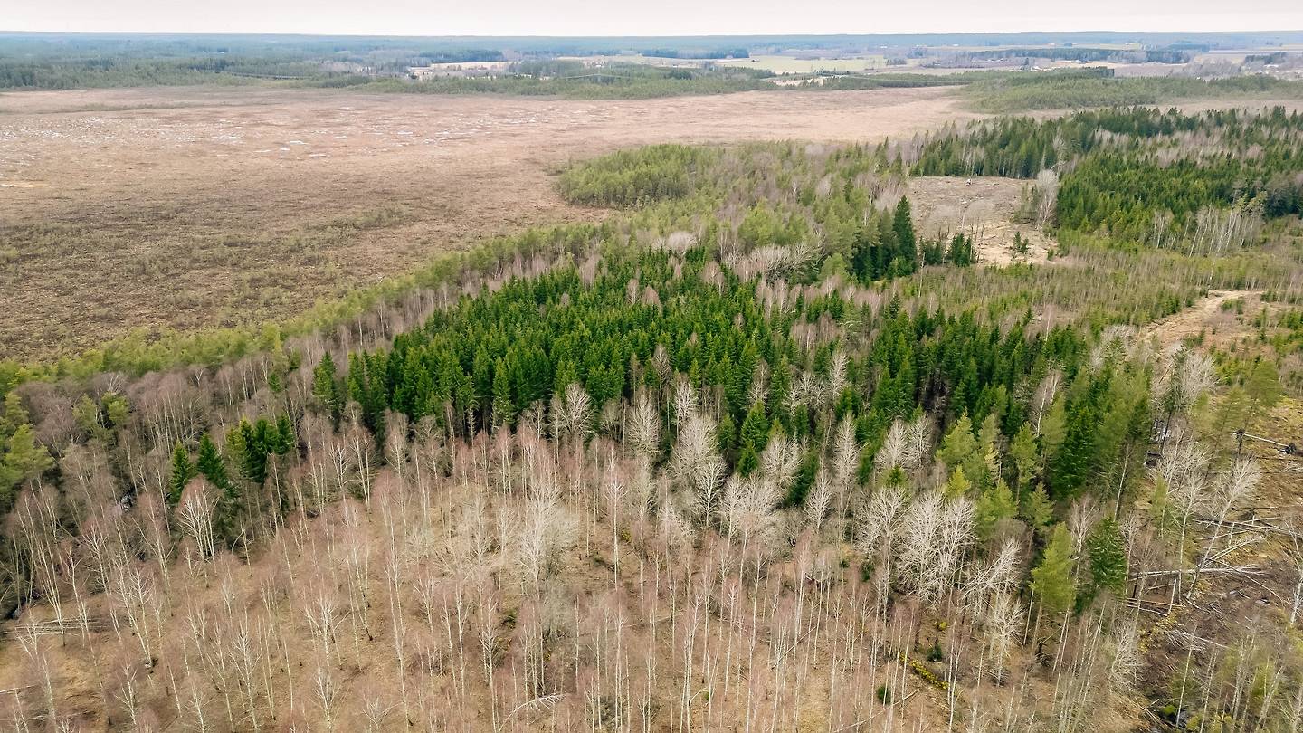 Gård/skog på Högshult Lilla Högshult 4 Töreboda Landsbygd Töreboda kommun - bild 6