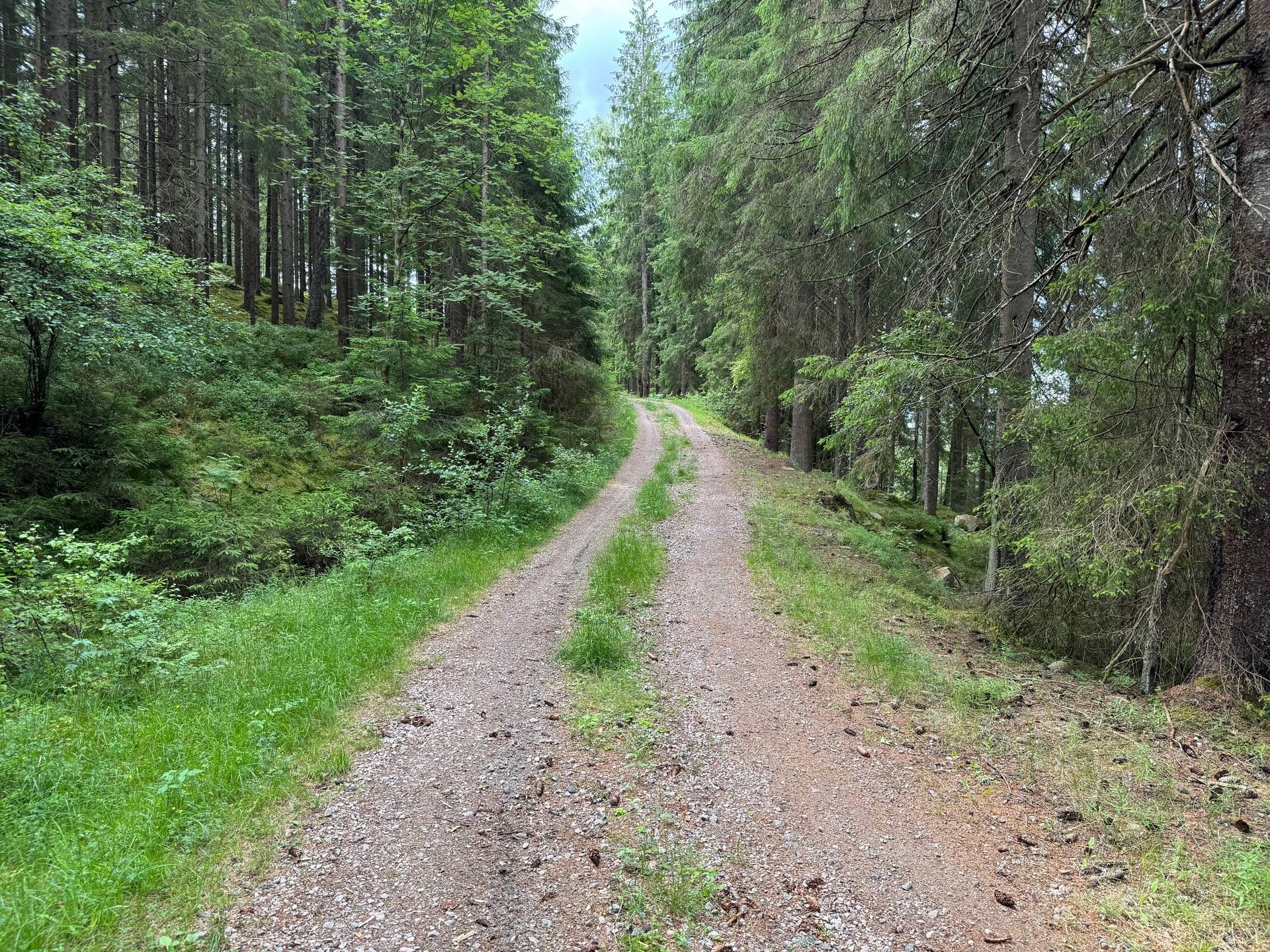 Gård med jordbruk på Ringestena Lillegården 1 Ringestena Svenljunga kommun - bild 38