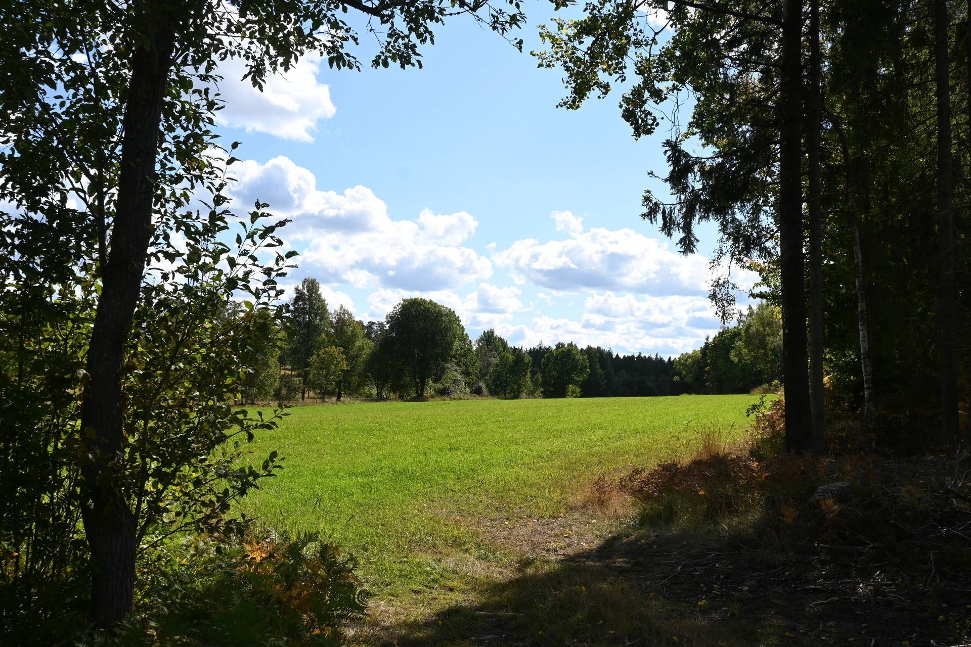 Gård med jordbruk på Karryd Norregård 2 Karryd Växjö kommun - bild 11