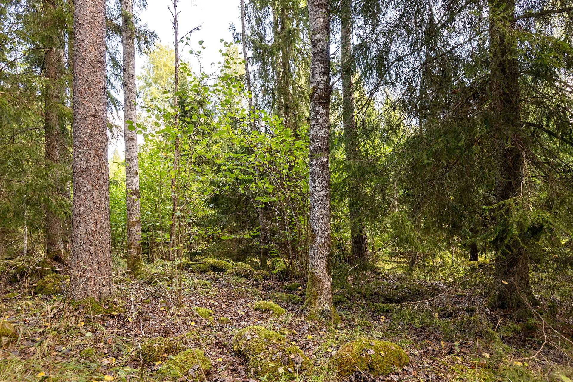 190 m² Gård med jordbruk på Djupviksängen Askersunds kommun - bild 24