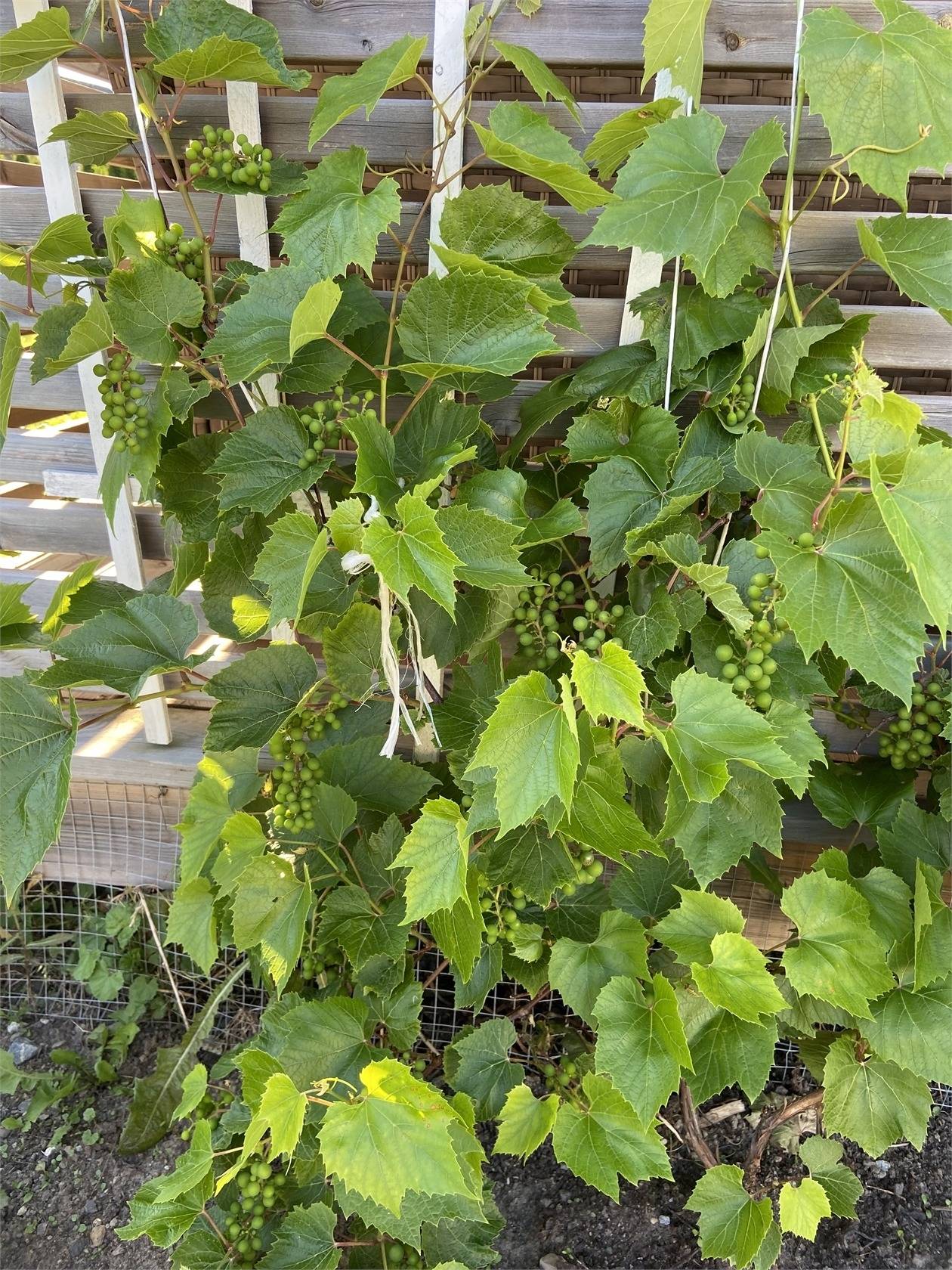 5 rum Villa på Helgdagsvägen 21 Vagnhärad Trosa kommun - bild 34