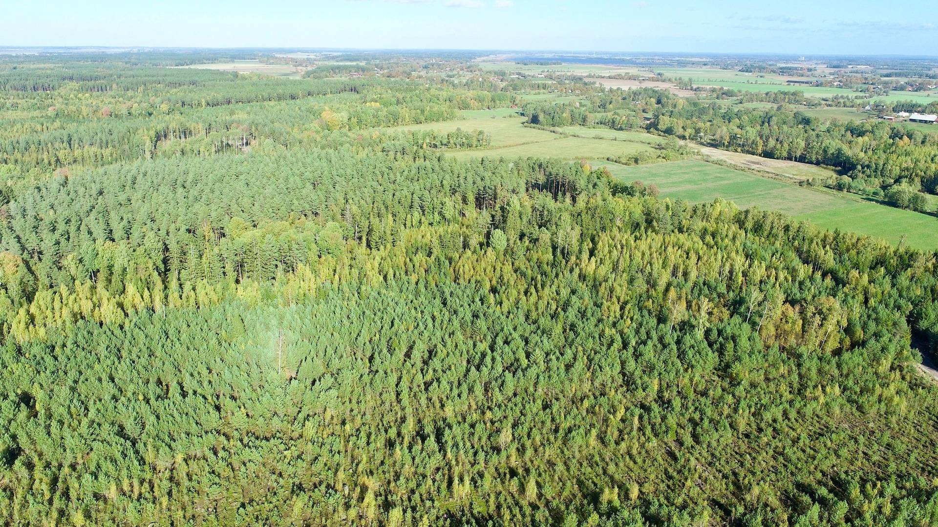 Gård med skogsbruk Binneberg Skövde kommun - bild 2
