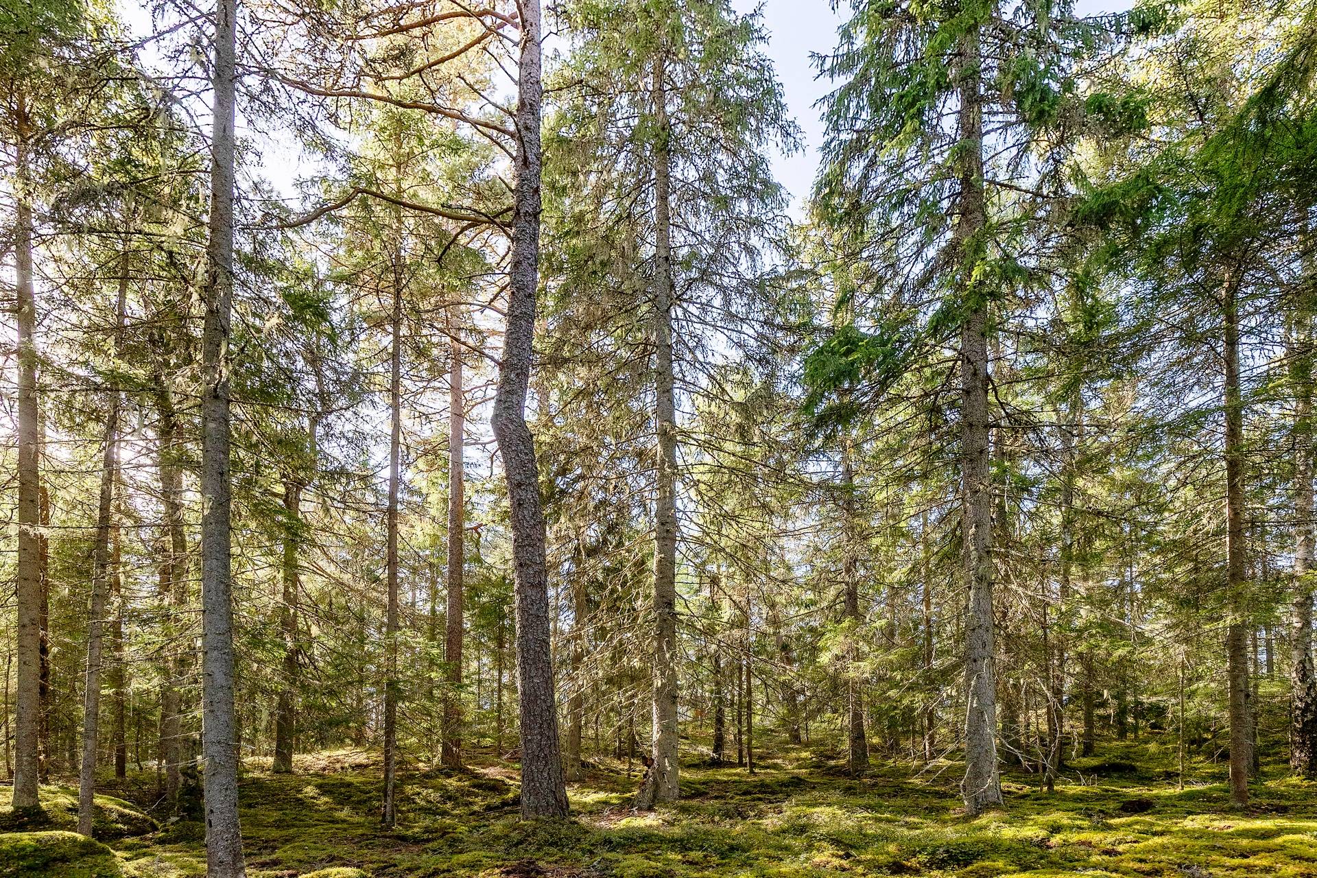 190 m² Gård med jordbruk på Djupviksängen Askersunds kommun - bild 28