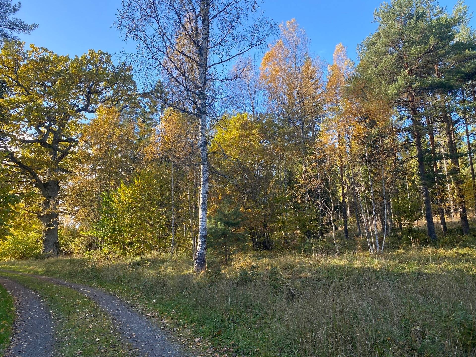 Tomt på Ubbyvägen 55 Norrtälje kommun - bild 10