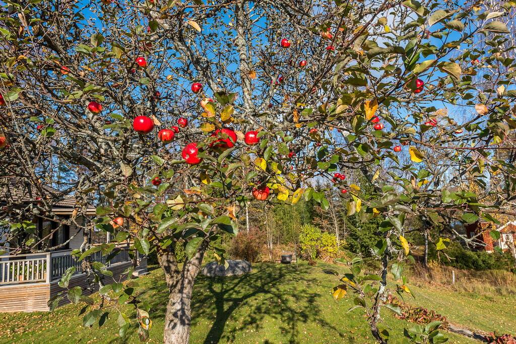 6 rum Villa på Sandviksvägen 6 Dals Långed Bengtsfors kommun - bild 39