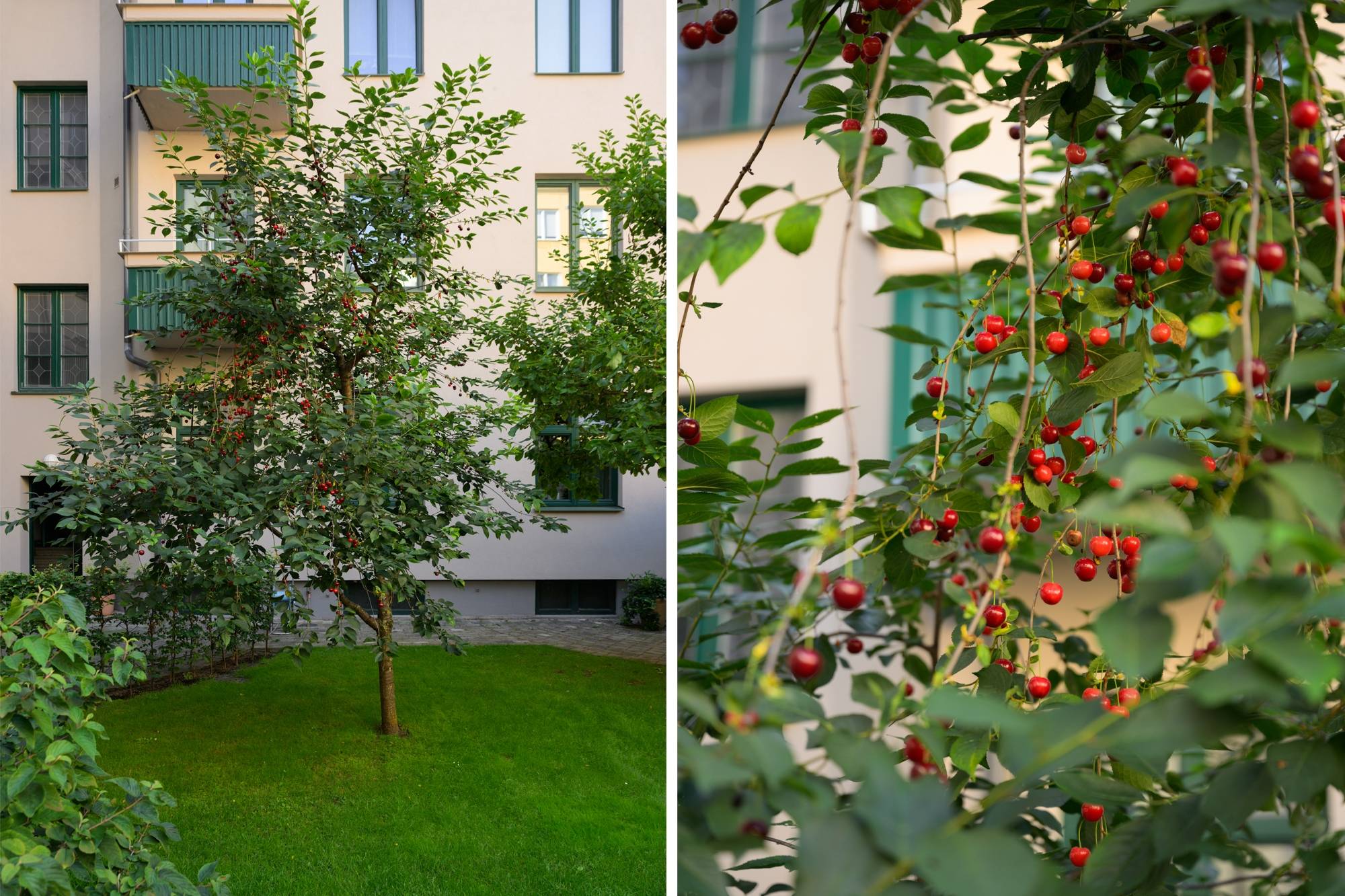 2 rum Lägenhet på Regementsgatan 21 Ribersborg Malmö kommun - bild 18