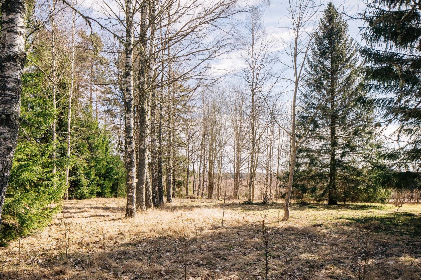 2 rum Fritidshus på Råglanda Kolabotten 1 Lyrestad Mariestads kommun - bild 34