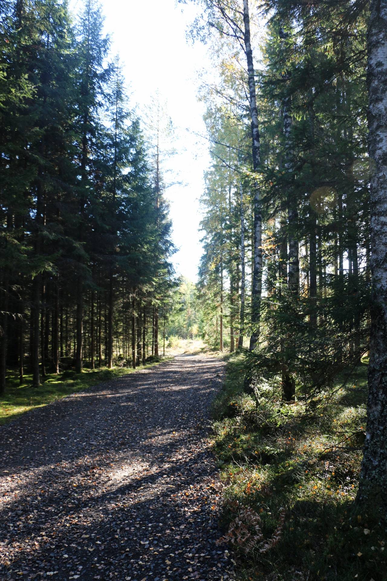 Gård med jordbruk på Älmekulla Ydre kommun - bild 22