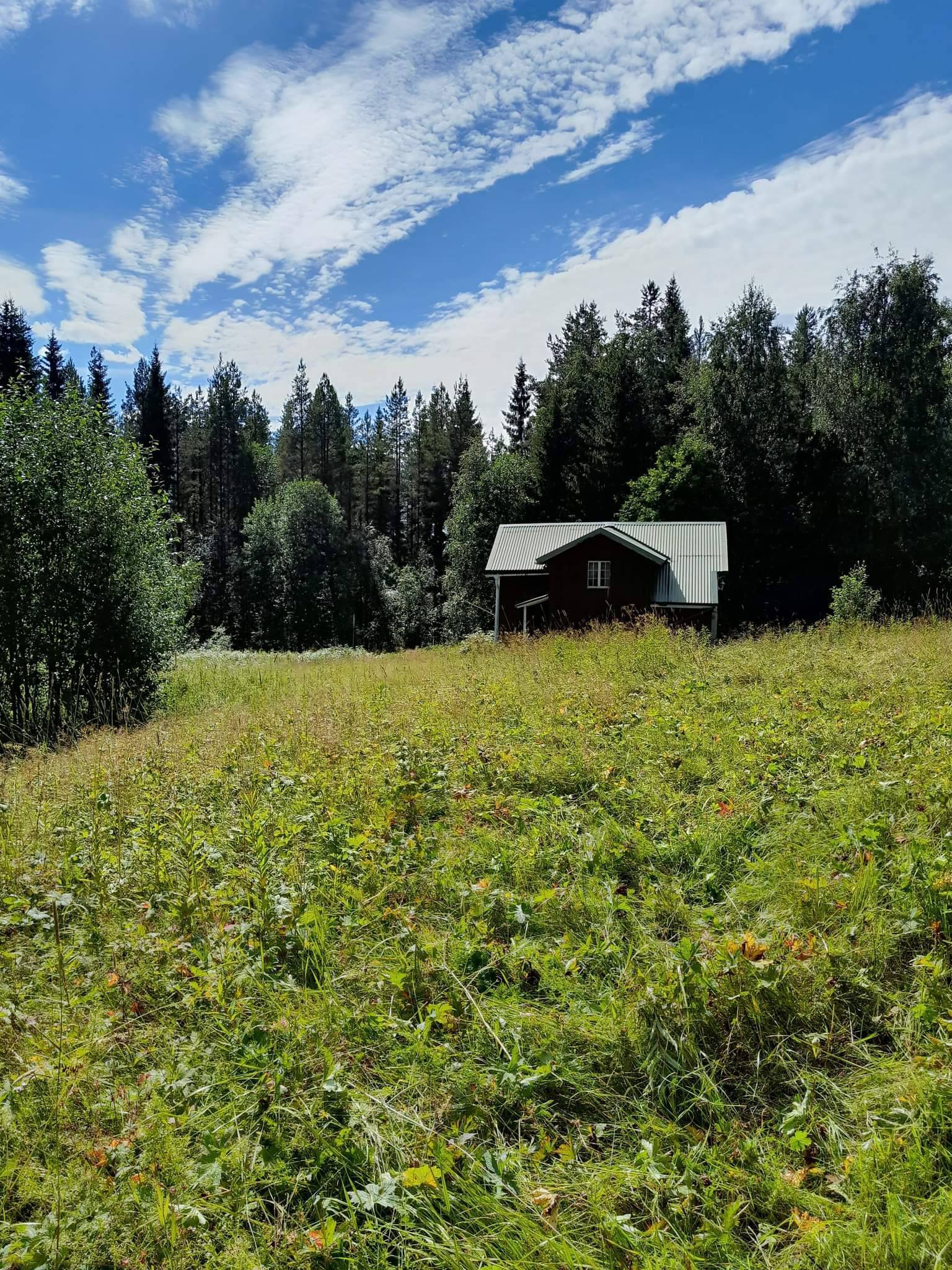 6 rum Gård/skog på Västra Ormsjö 216 Västra Ormsjö Dorotea kommun - bild 43
