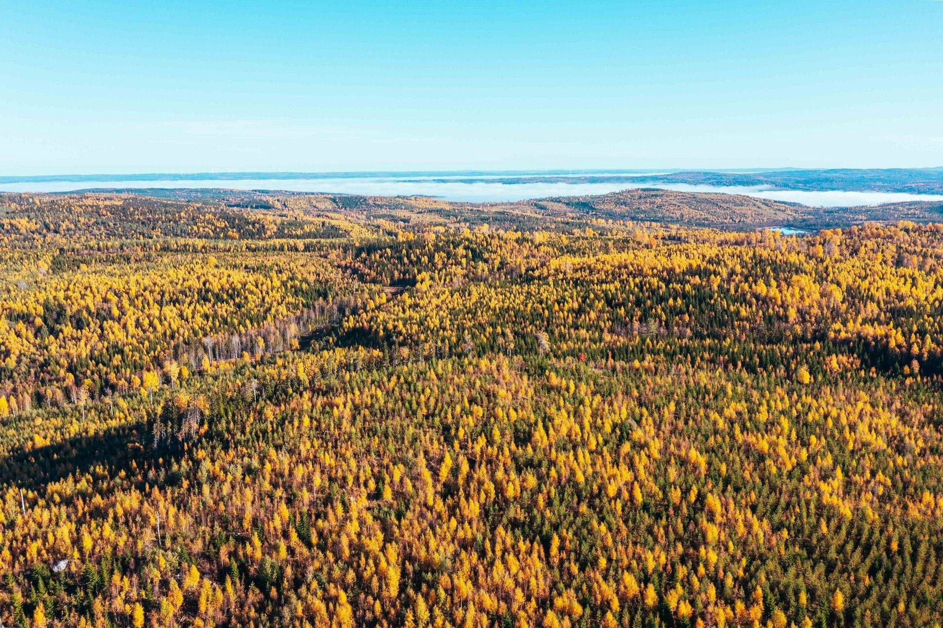 Gård med skogsbruk på ÅNGE BACKEN 4:20 Ånge kommun - bild 1