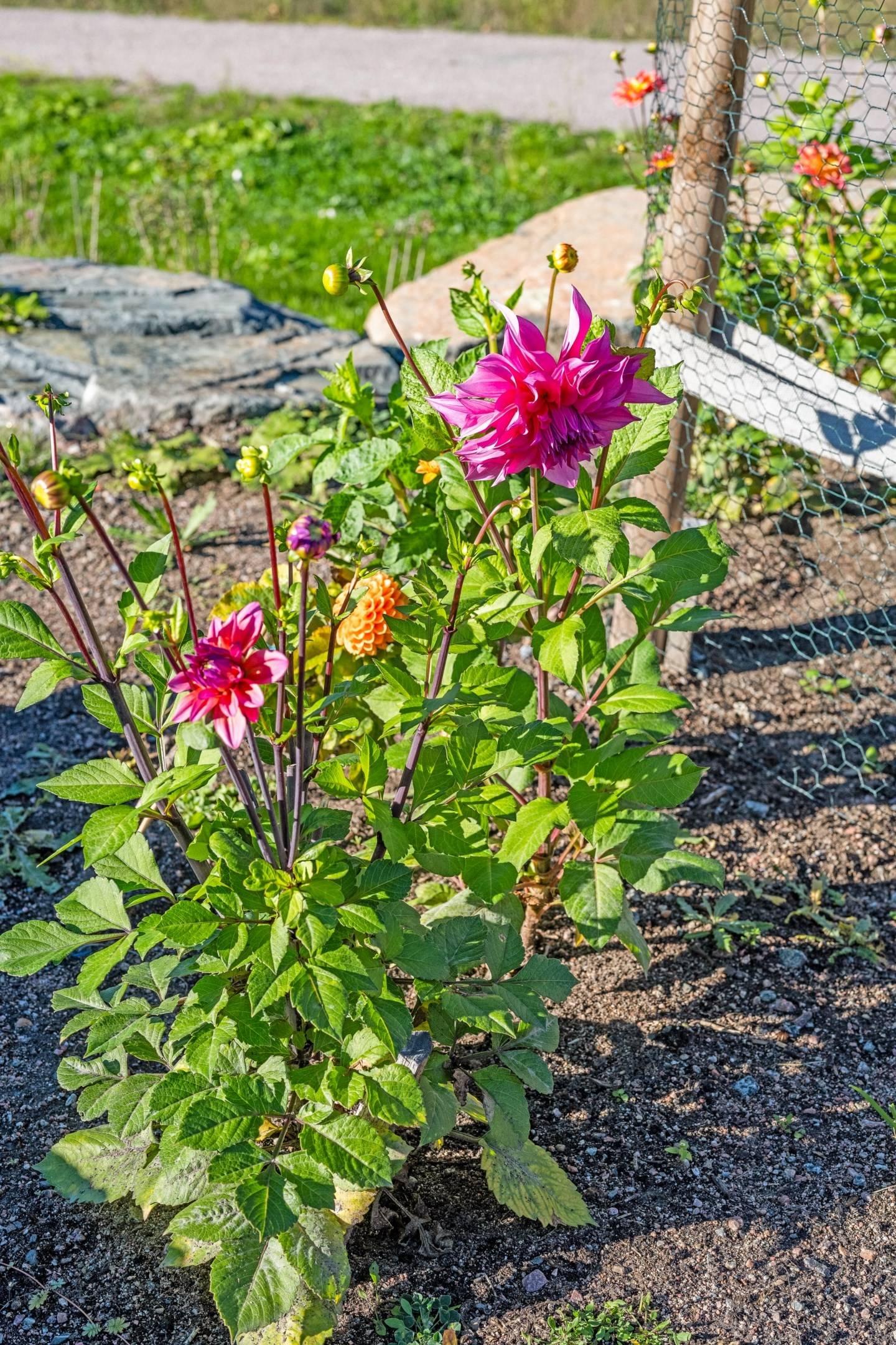 6 rum Villa på Uls-Väsby 23 Länna Uppsala kommun - bild 54