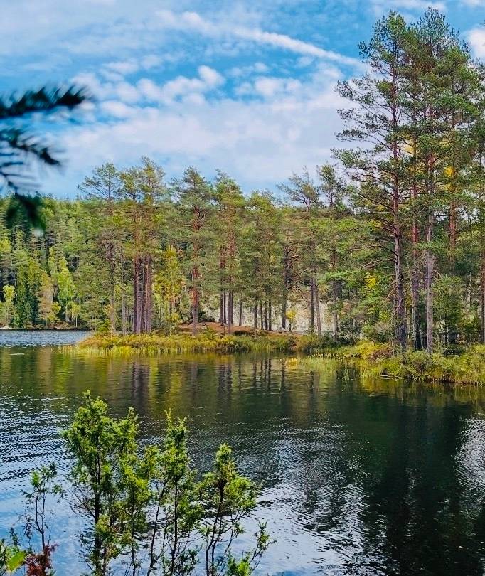 2 rum Gård med skogsbruk på Södra Lund Eklund Södra Lund Bengtsfors kommun - bild 12