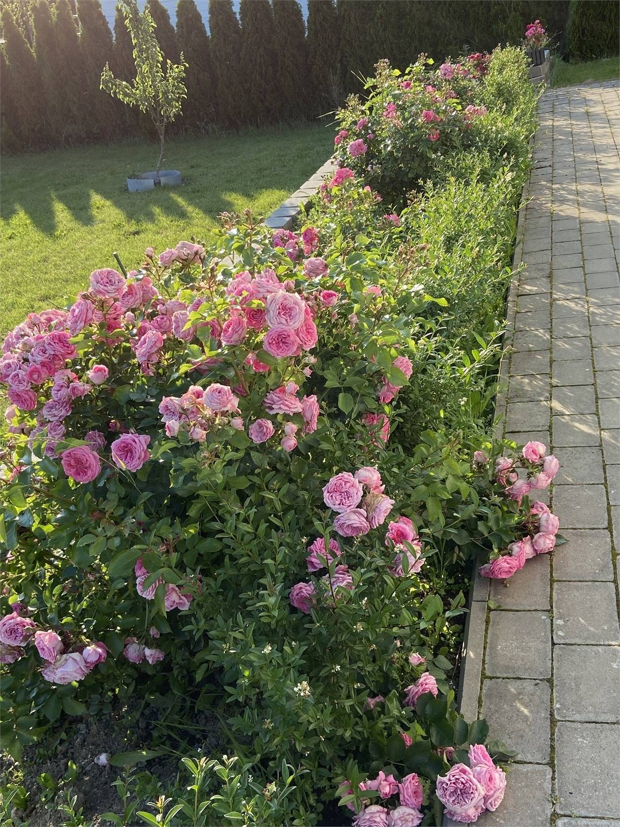 5 rum Villa på Helgdagsvägen 21 Vagnhärad Trosa kommun - bild 29