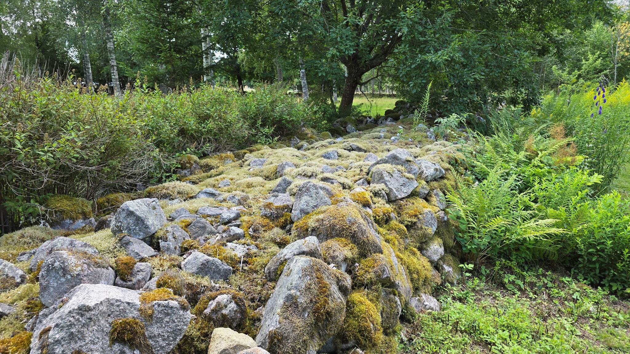 4 rum Fritidshus på Väderlanda LILLEGÅRD 1 Växjö kommun - bild 94