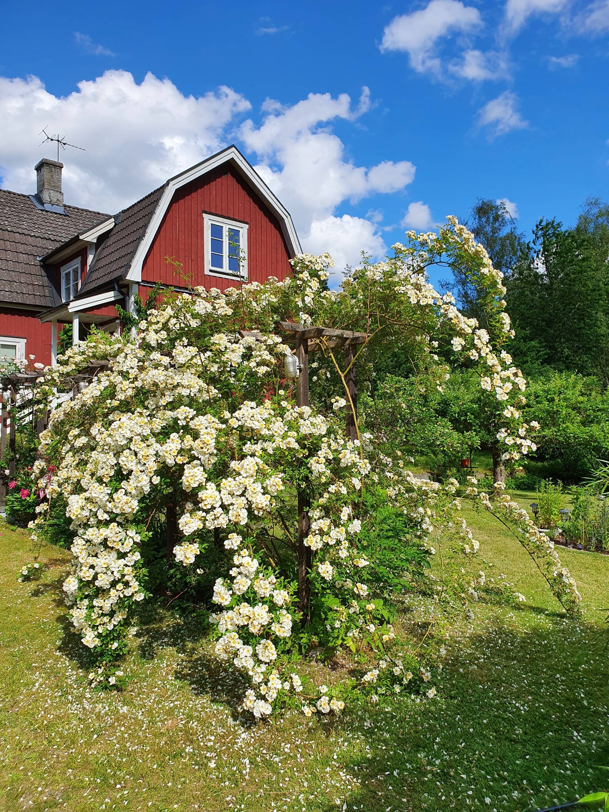 6 rum Villa på Hemsjövägen 1140 Olofströms kommun - bild 53