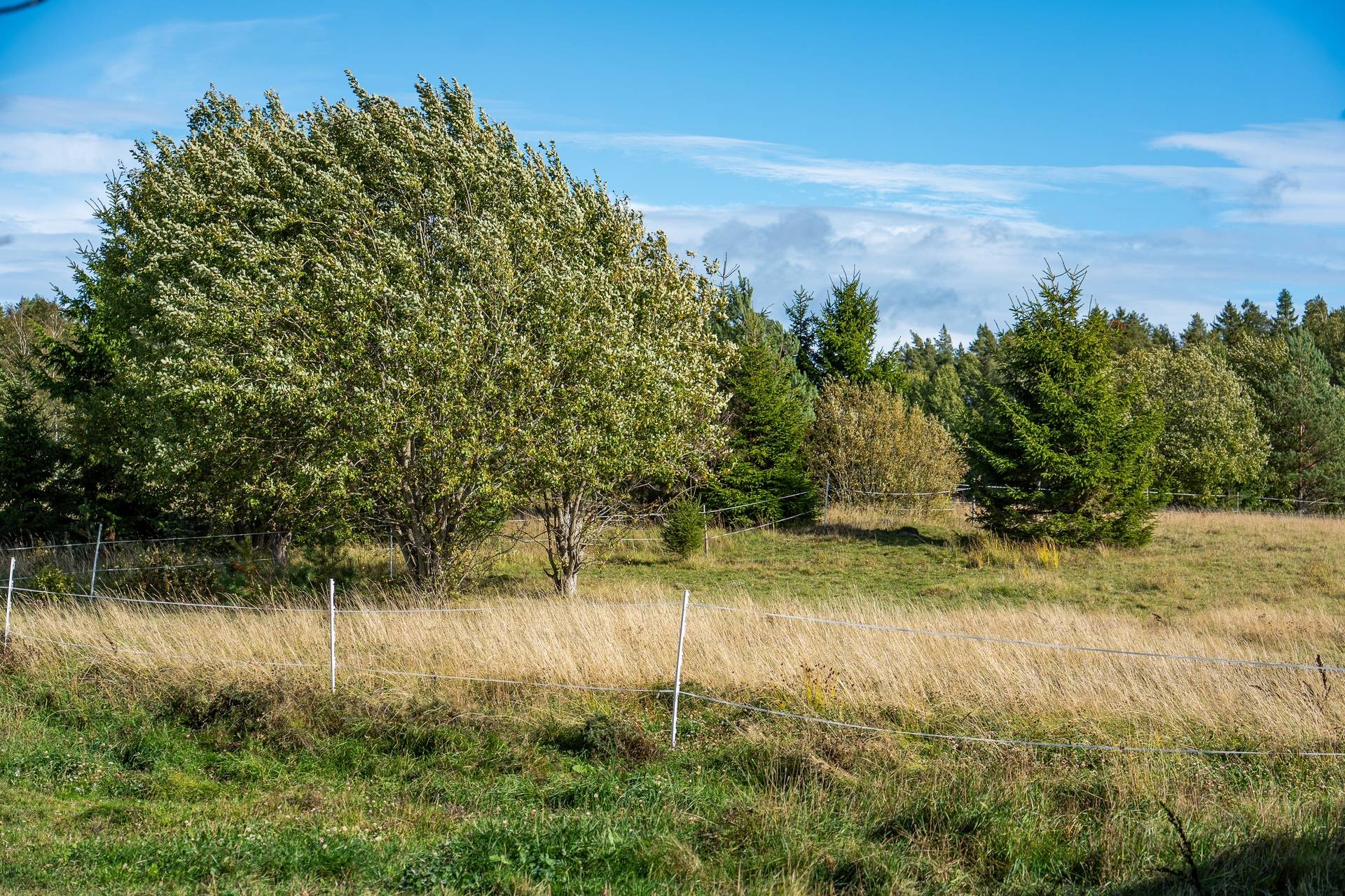 Gård med jordbruk på Övergården Säffle kommun - bild 10