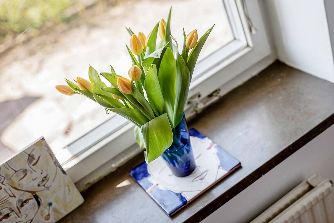 2 rum Lägenhet på Dianavägen 9 Östermalm / Hjorthagen Stockholms kommun - bild 8
