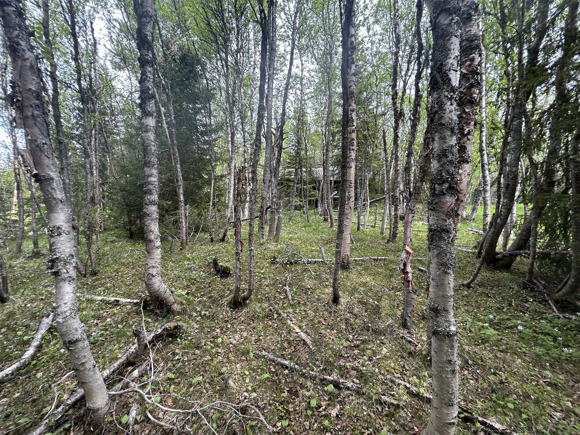 Villa på Enafors Vackermon 131 Åre kommun - bild 14