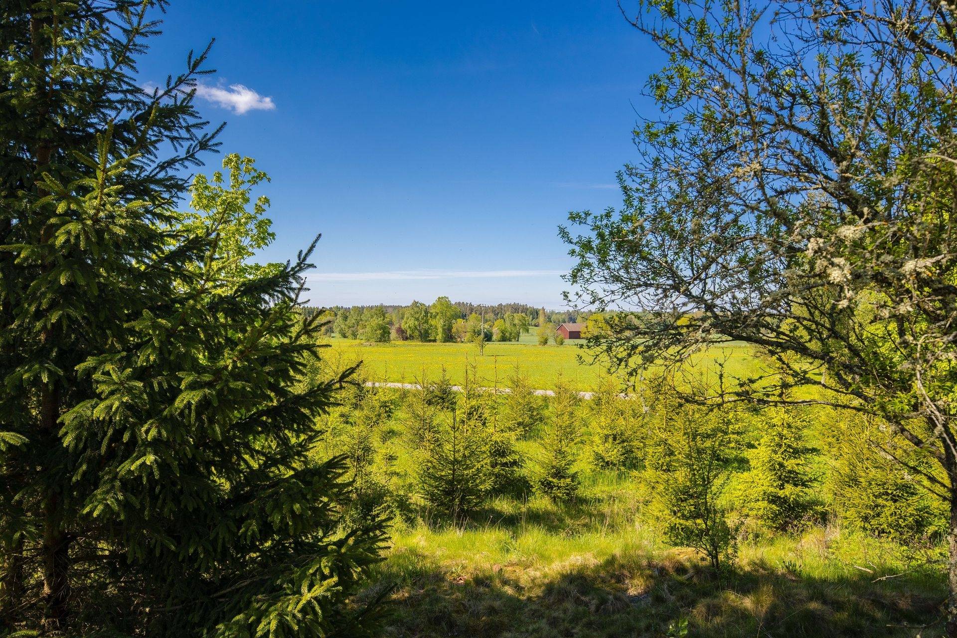 3 rum Villa på Södra Lundby Småskolan 1 Vedum Vara kommun - bild 36