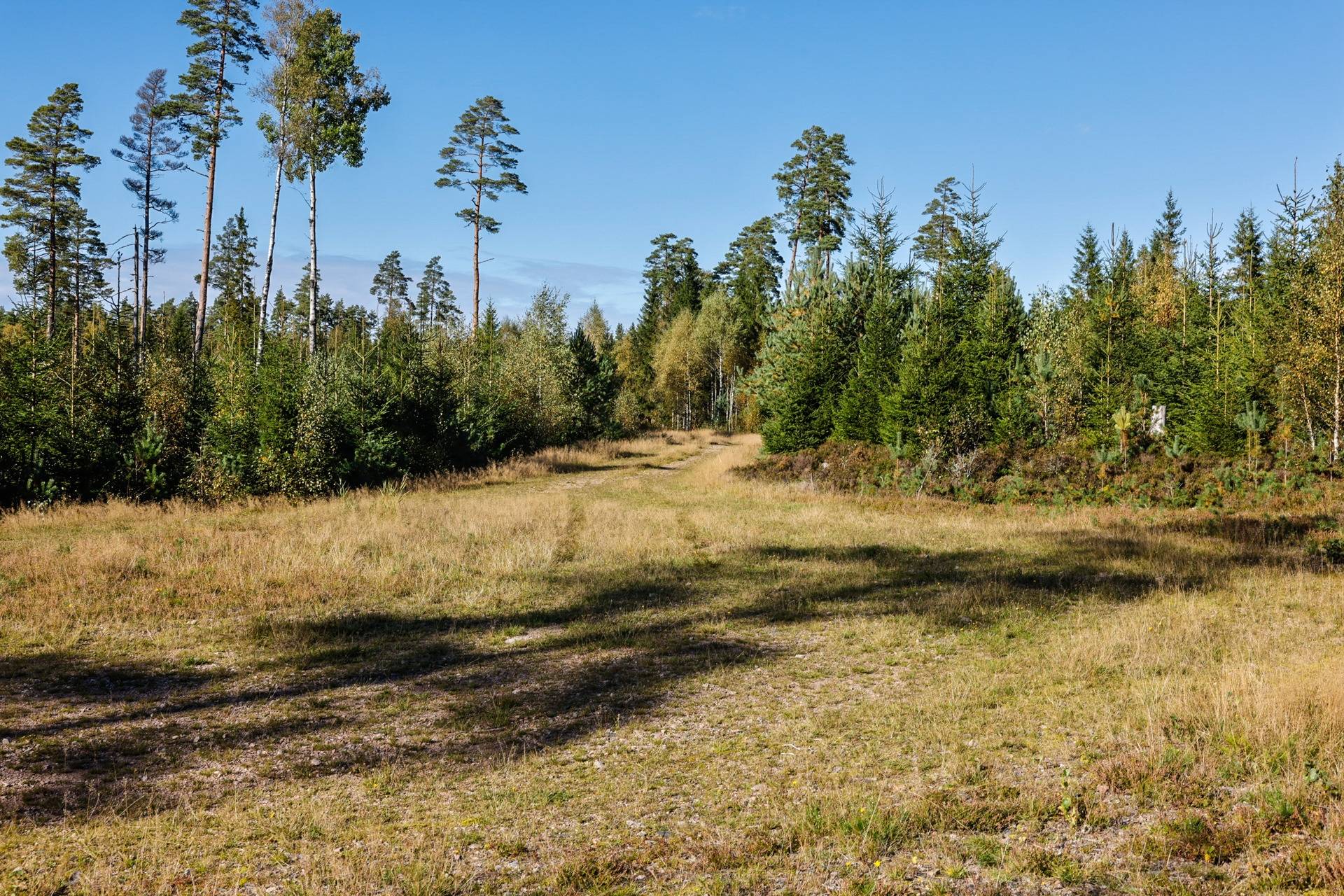 Gård/skog på SVENLJUNGA UGGLEBO 2:3 Örsås Svenljunga kommun - bild 23