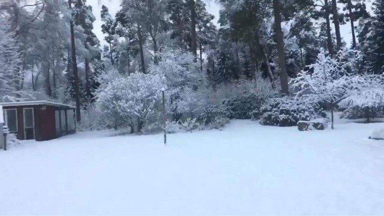 7 rum Villa på Krogsered Remmarne 308 Krogsered Falkenbergs kommun - bild 58