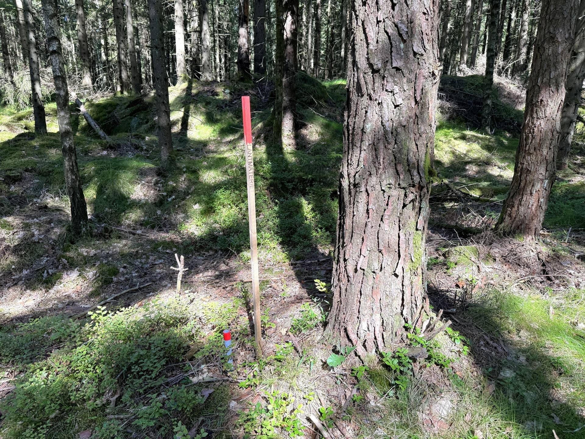 Gård med skogsbruk på Gäddhult 1:33 Hällingsjö Marks kommun - bild 32