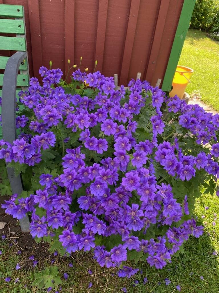 20 m² Fritidshus på Järvavägen 10, lott 18 Ulriksdals slottspark Solna kommun - bild 25