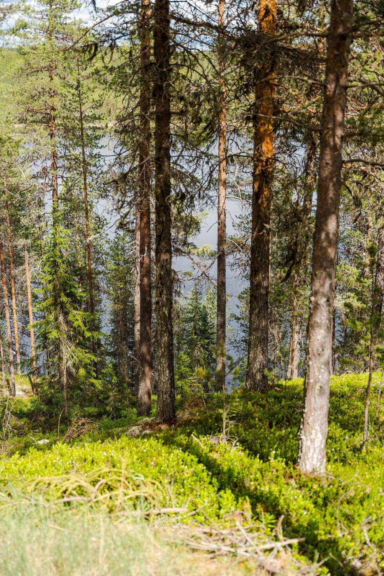 3 rum Villa på Heavägen 16 Särnaheden Älvdalens kommun - bild 46