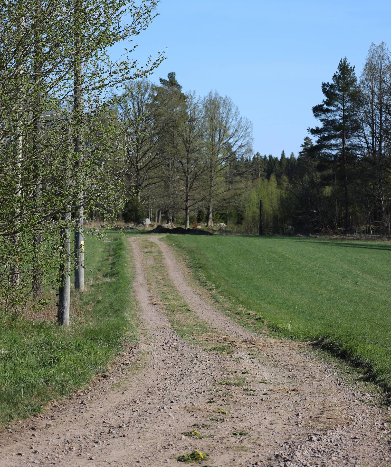 7 rum Gård med jordbruk på Åby Gunnarstorp 3 Åby Växjö kommun - bild 47