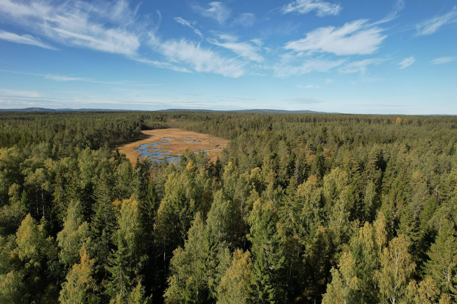 Gård med skogsbruk på Landtjärn Sandvikens kommun - bild 6
