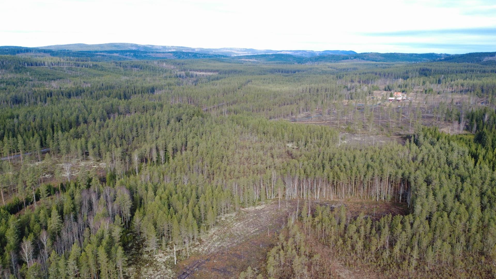 Gård med skogsbruk på Killingerud Torsby kommun - bild 16
